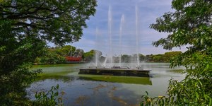 Áreas verdes que nem todo mundo conhece em Campinas