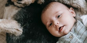 Como preparar o pet para a chegada de um recém-nascido?