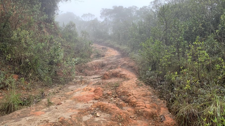 Trecho da trilha no Pico dos Marins, na Serra da Mantiqueira, conhecido pelo terreno acidentado e pela baixa visibilidade causada pela neblina.
