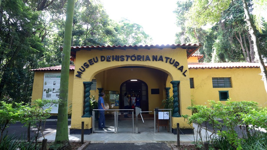 O bosque reúne um complexo de museus, com o Museu de História Natural, Aquário Municipal e a Casa dos Animais Interessantes