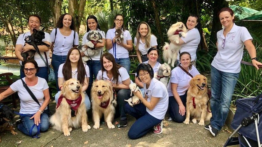 São cerca de 90 animais de estimação, todos de tutores voluntários