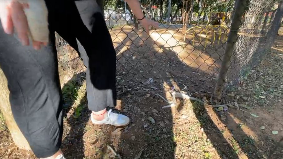 Local que o pitbull conseguiu escapar