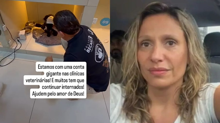 Luisa Mell faz desabafo nas redes sociais