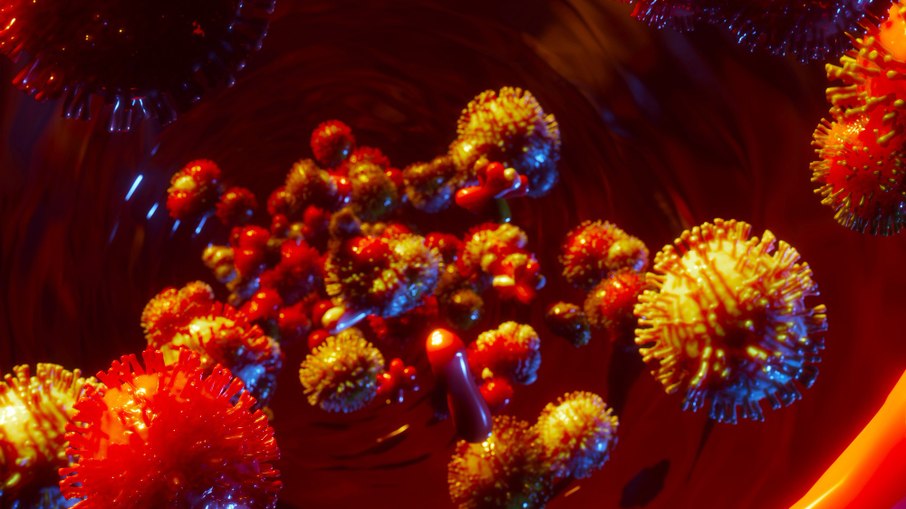 Vibrio vulnificus pode causar envenenamento do sangue em casos fatais