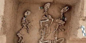 Pesquisadores encontram fósseis de possível primeiro zoológico
