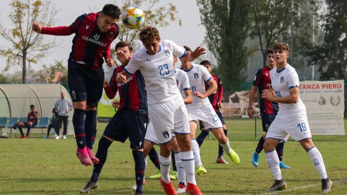 Alessandro Arlotti: Jogador da seleção italiana vai estudar em Harvard