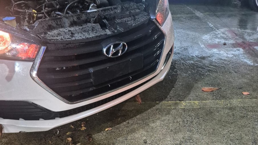 Jornalista perdeu a placa do carro ao passar por alagamento