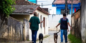 SC: polícia resgata cães e ave em operação contra maus-tratos