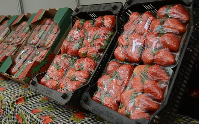 Atibaia é destaque pela produção de qualidade dos morangos
