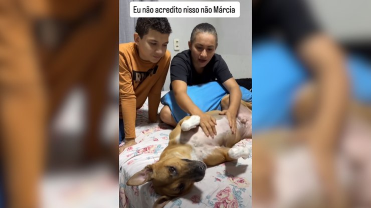 Cachorro percebe troca de massagista e tem reação inusitada
