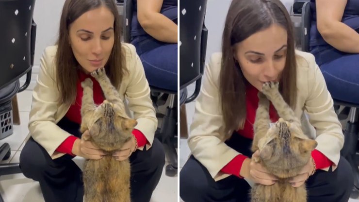 Gata “estagiária” leva puxão de orelha por fugir do serviço