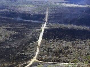Incêndio já consumiu 26% do Parque Nacional da Chapada dos Veadeiros