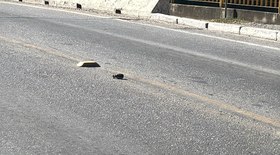 Setor automotivo cresce 8% até maio, mesmo com juros altos