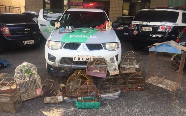 Uma pessoa foi detida durante a operação.