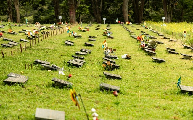 Concessão de Cemitérios de São Paulo completa três anos