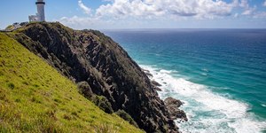 Recife na Austrália permite interagir com o maior peixe do mundo