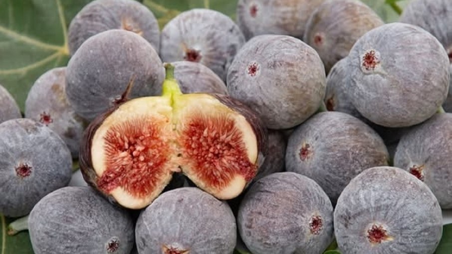 Valinhos é conhecida nacionalmente como a Valinhos é conhecida nacionalmente como a