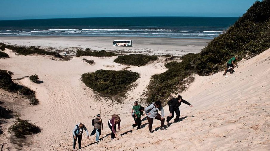 Dunas do Araçá - Ilha Comprida (SP)