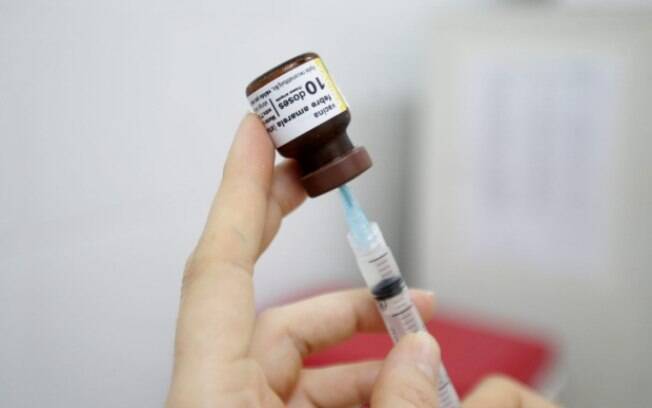 Após quatro macacos infectados, Salvador libera 400 mil doses de vacina contra febre amarela à população