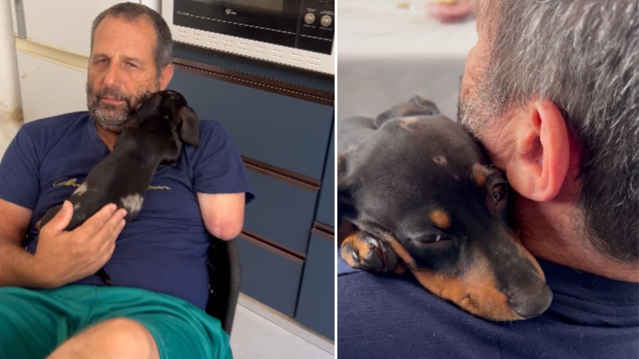 Cachorro fica agarrado ao tutor e brinca de disputar carinho Cachorro fica agarrado ao tutor e brinca de disputar carinho