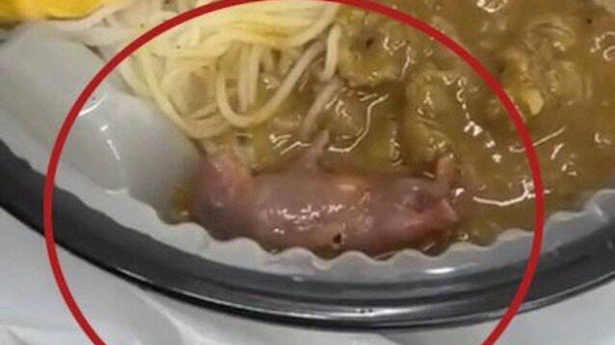 Rato recém-nascido é encontrado vivo dentro de marmita