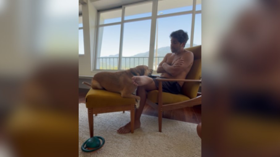 Tutor tem DR com cachorro após perceber relação Tutor tem DR com cachorro após perceber relação