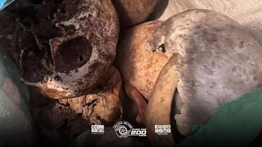 Cranios encontrados pela Polícia