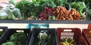 Combinação de El Niño e guerras pode aumentar preço dos alimentos