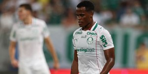 Palmeiras tem data prevista para estrear novo uniforme
