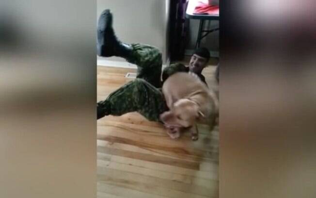 Pitbull fica muito feliz ao ver seu dono retornar após seis meses no exército canadense