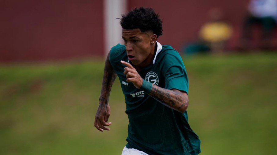 Fabiano defenderá o Goiás na Copinha Fabiano defenderá o Goiás na Copinha