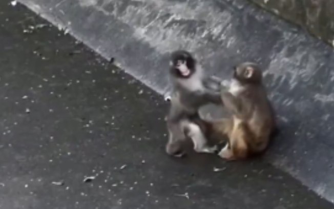 Eghk3t8sj0quyprjvrbo7qdny