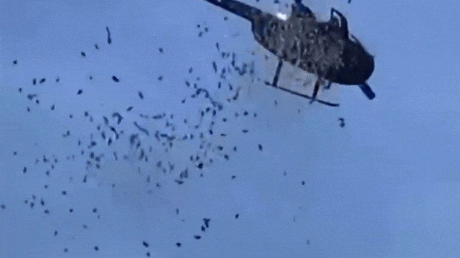 Helicóptero despejando notas de dólar Helicóptero despejando notas de dólar
