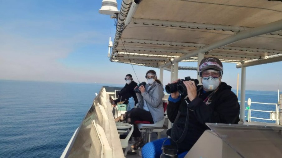 Cientistas a bordo de um navio de pesquisa durante os incêndios detectaram cinzas e resíduos na água a até 160 quilômetros da costa Cientistas a bordo de um navio de pesquisa durante os incêndios detectaram cinzas e resíduos na água a até 160 quilômetros da costa