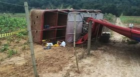 Morador de rua furta ônibus e sai dirigindo 