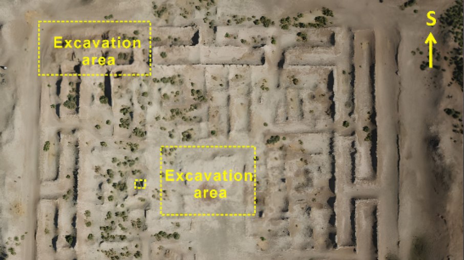 Casulos de bicho-da-seda de 4 mil anos encontrados no Uzbequistão redefinem a história do tecido na Ásia Casulos de bicho-da-seda de 4 mil anos encontrados no Uzbequistão redefinem a história do tecido na Ásia
