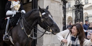 É proibido tirar foto com os cavalos da Guarda Real em Londres?