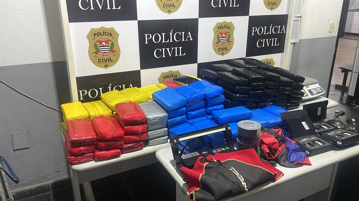 Polícia Civil acredita que o entorpecente seria colocado em navio no Porto de Santos Polícia Civil acredita que o entorpecente seria colocado em navio no Porto de Santos
