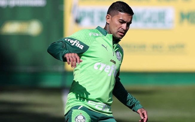 Dudu vai desfalcar o Palmeiras por um mês