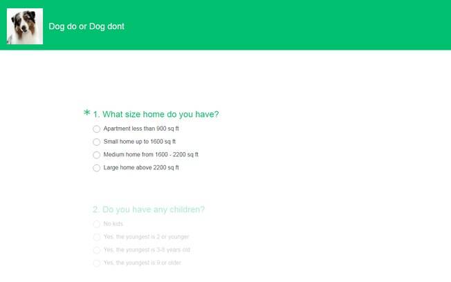 Estudante desenvolve site para ajudar pessoas a saberem se devem ou não adotar um cão