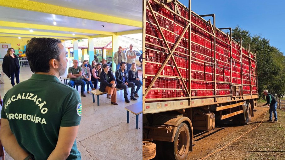 Trabalho de contenção da doença feito pela Agrodefesa Trabalho de contenção da doença feito pela Agrodefesa