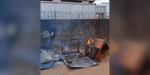 Casinhas de cães comunitários são incendiadas em Nova Lima