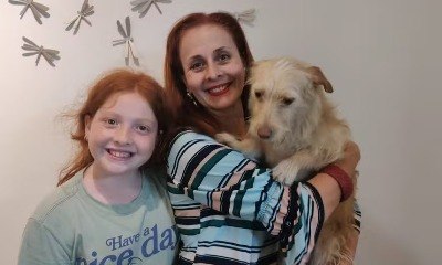 Cachorra que sobreviveu a enchente no RS se adapta em lar em SP