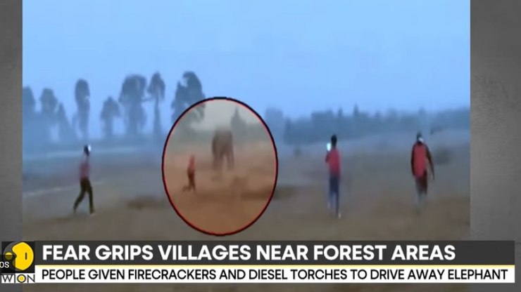 Cerca de 1,5 mil terroristas do Estado Islâmico fogem de prisão