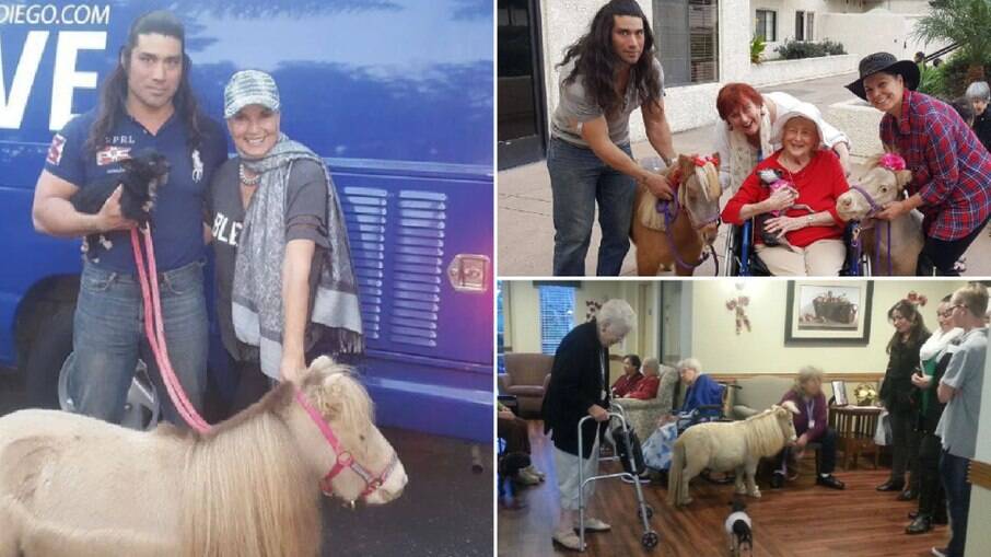 Mulher treina mini cavalos para serem animais de terapia