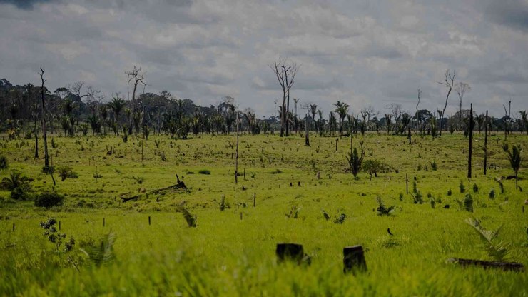 Desmatamento cai, mas super El Niño pode reacender perdas na Amazônia