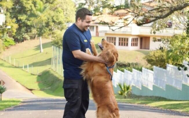 A rotina dos humanos pode afetar saúde mental dos pets