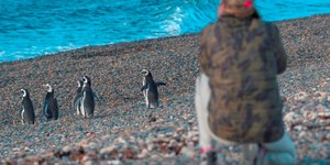 Mulheres desafiam obstáculos e empreendem no ecoturismo