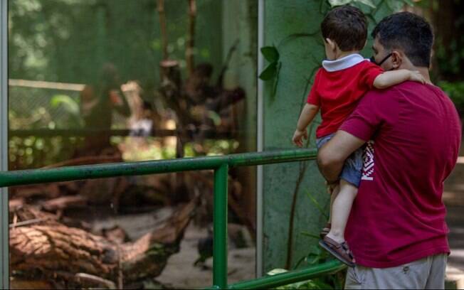 Veja o funcionamento do Bosque de Ribeirão no feriado prolongado