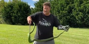 Mamba-verde: a espécie de serpente que matou youtuber